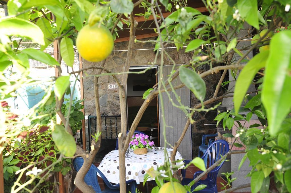 Apartamentos Buen Leon Playa de Tasarte Kültér fotó
